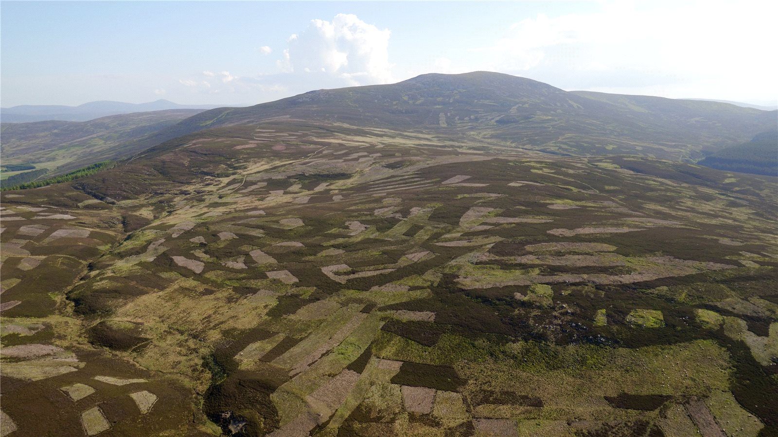 Strutt & Parker Tillypronie Estate