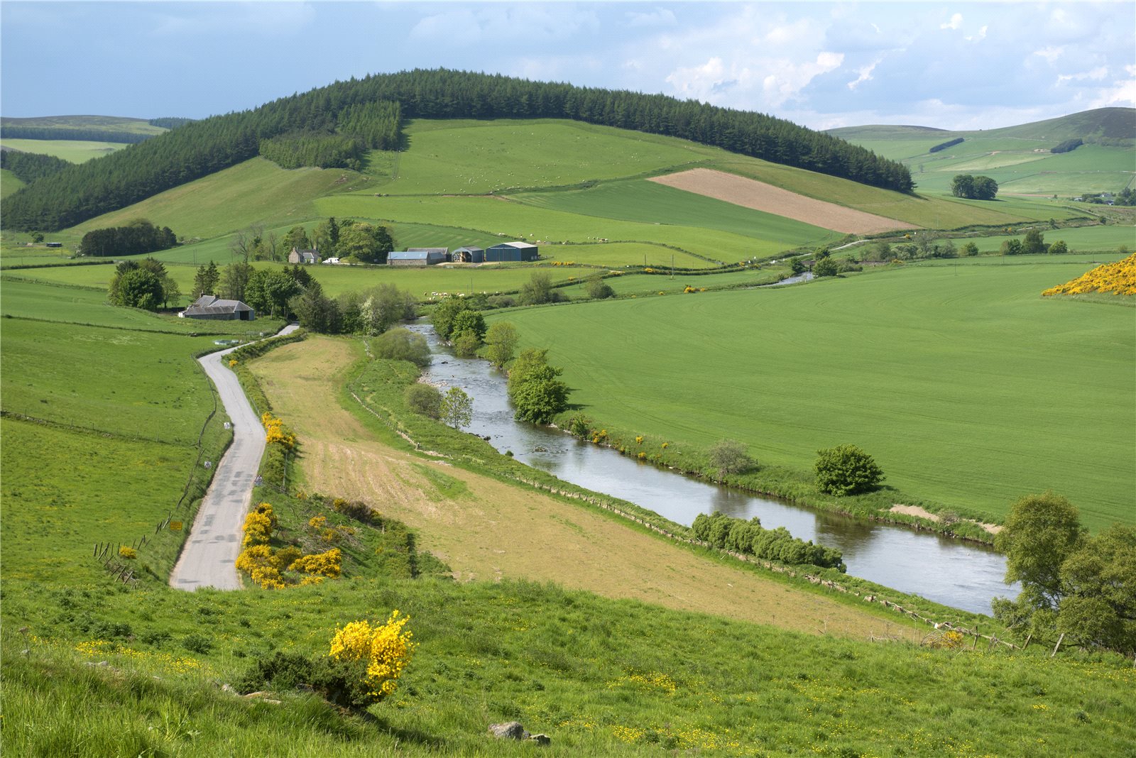 Strutt & Parker Tillypronie Estate