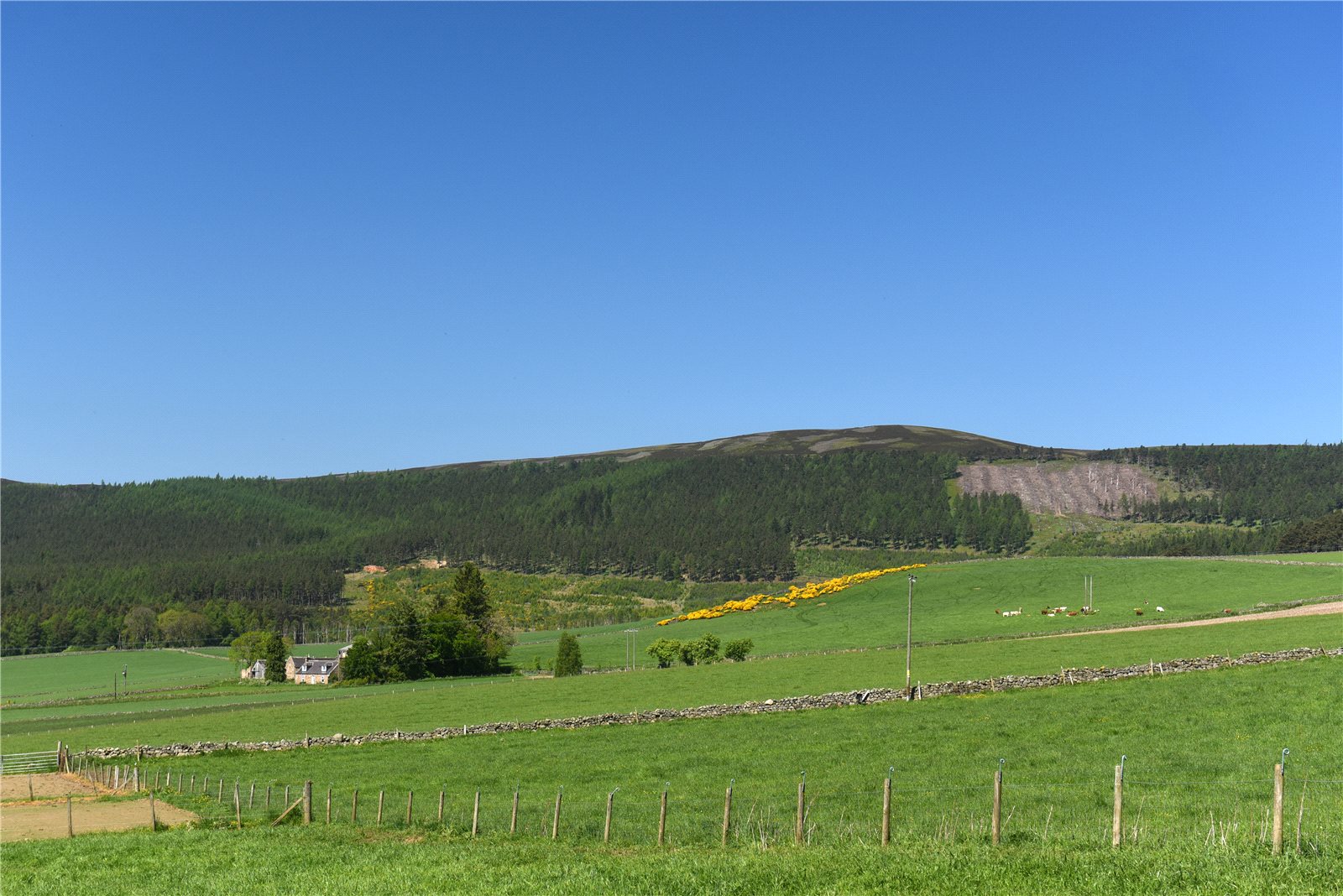 Strutt & Parker Tillypronie Estate