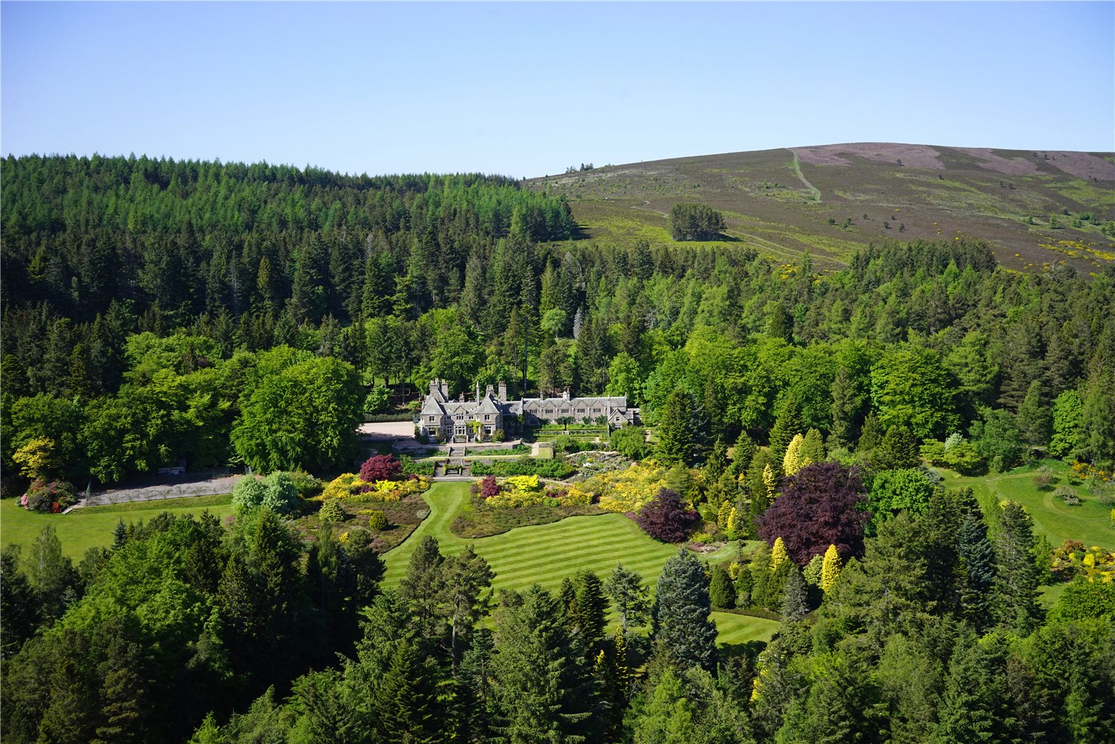 Tarland Strutt & Parker